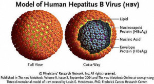penyebab dan gejala hepatitis b